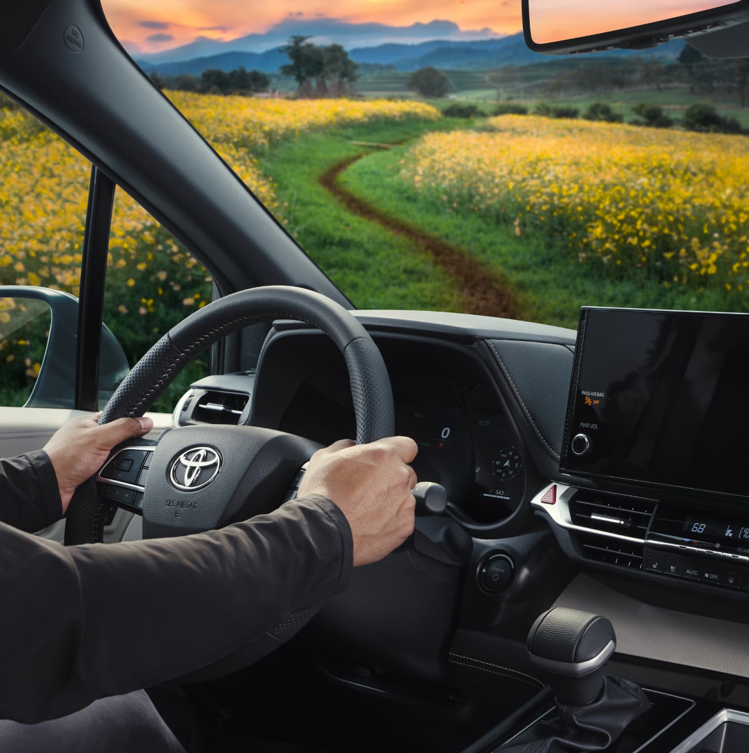 Summer | Genuine Cabin Air Filters